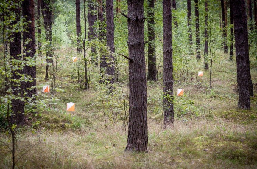 Toivo Toomas lõpetas MM debüüdi 16.kohaga