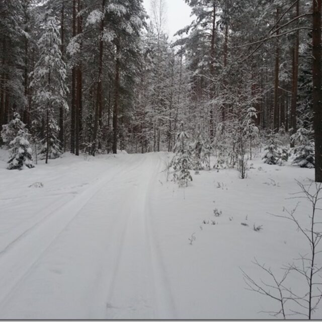 ,https://orienteerumine.ee/eol/uudised/953.jpg,2015/01/31 00:00:00,953

EMV suusaorienteerumise lühi- ja tavarajal sel nädalavahetusel”