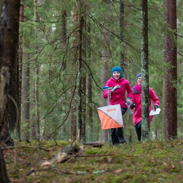 Baseilo usinussari RMK orienteerumispäevakutel 2025