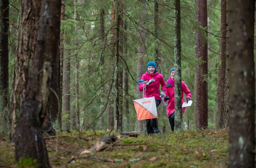 Baseilo usinussari RMK orienteerumispäevakutel 2025