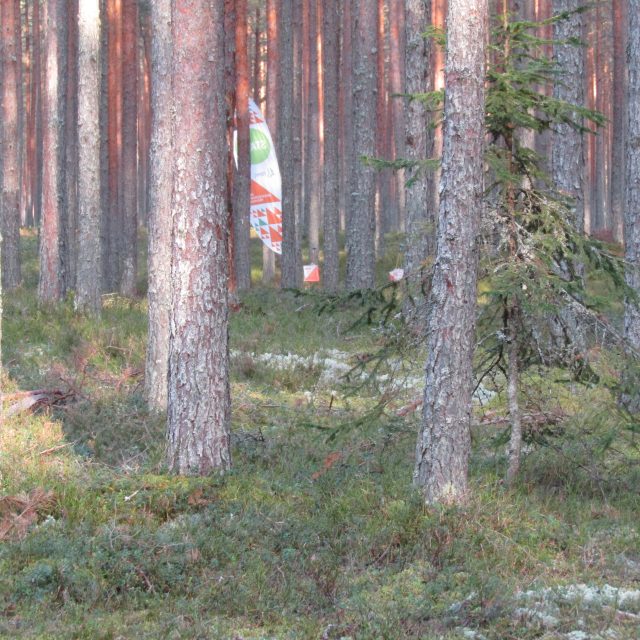 Vabariigi Presidendilt said teenemärgid kolm orienteerujat