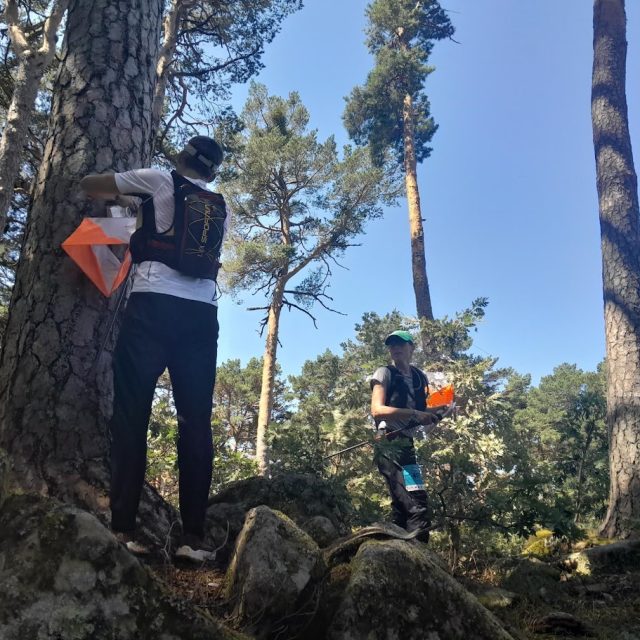 Rogaini MM-ilt Eestisse hõbe meeskondade ja kuld segavõistkondade arvestuses